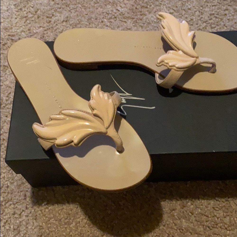 Giuseppe zanotti